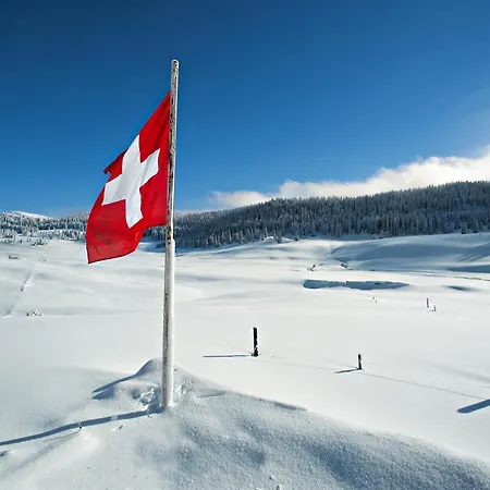 In Nysted By Baltic Sea *