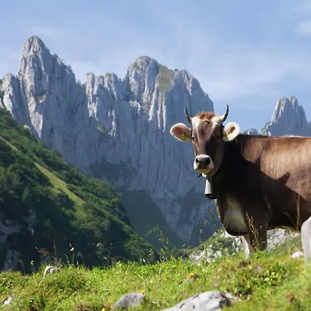 In Nysted By Baltic Sea Chalet