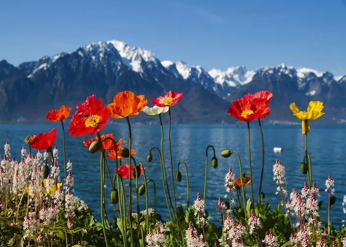 In Nysted By Baltic Sea