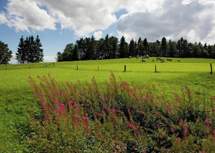 In Nysted By Baltic Sea
