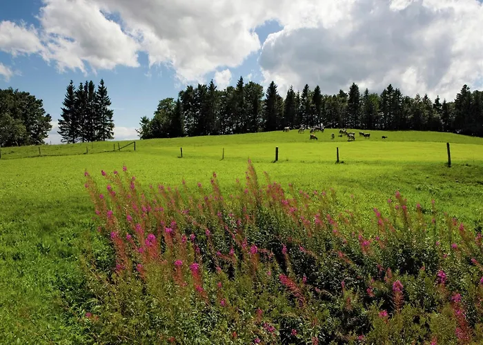 In Nysted By Baltic Sea Alpehytte *