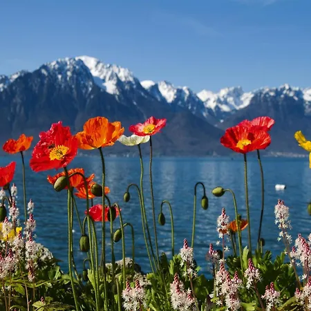 In Nysted By Baltic Sea *