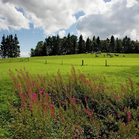 In Nysted By Baltic Sea Saas-Balen